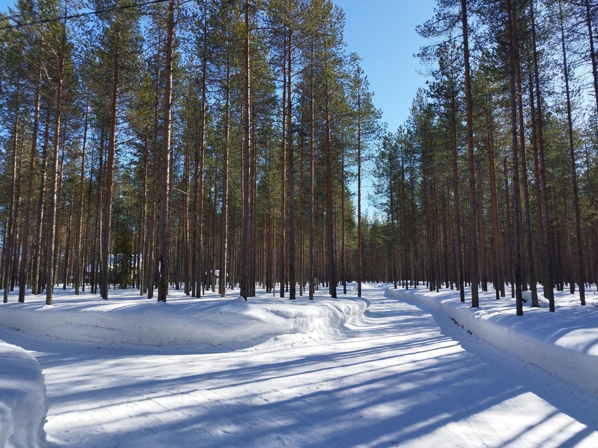 Vihreae Helmi Villa Kuusamo Eksteriør bilde
