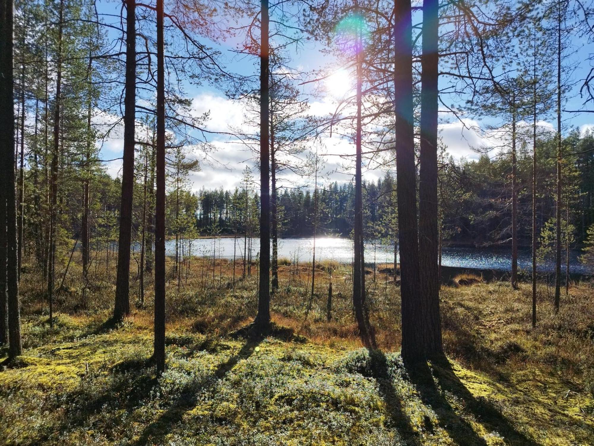 Vihreae Helmi Villa Kuusamo Eksteriør bilde